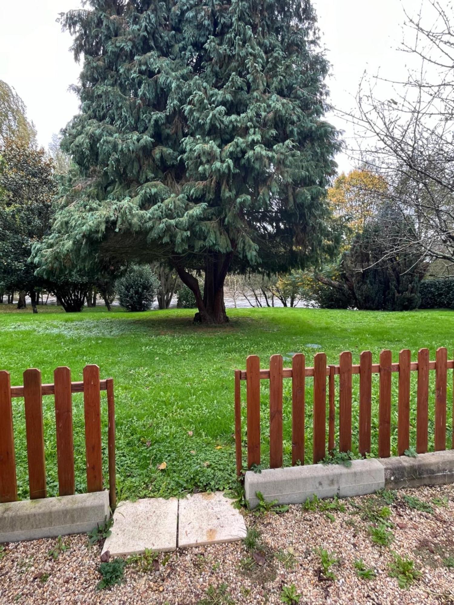 Logement Paisible En Bord De Vienne Bonneuil-Matours エクステリア 写真